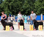 Превью фото № 184763