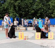 Превью фото № 184770