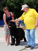 Превью фото № 184773