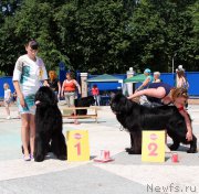 Превью фото № 184777