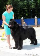 Превью фото № 184778