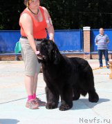 Превью фото № 184779