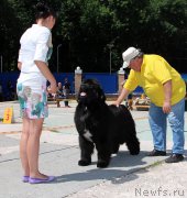 Превью фото № 184790