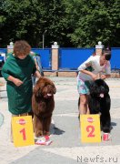 Превью фото № 184795