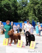 Превью фото № 184796