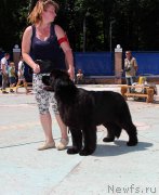 Превью фото № 184800