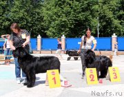 Превью фото № 184805