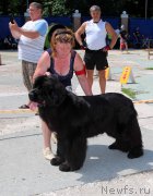 Превью фото № 184806