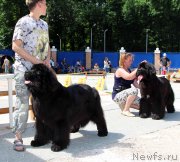 Превью фото № 184808