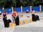 Превью фото № 184814