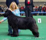 Превью фото № 18483