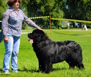 Превью фото № 184845