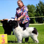 Превью фото № 184848