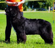 Превью фото № 184850