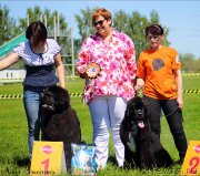 Превью фото № 184851