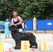 Превью фото № 184860