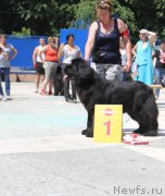 Превью фото № 184862