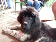 Превью фото № 184864