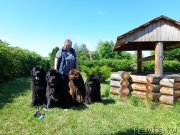 Превью фото № 184871