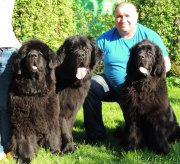 Превью фото № 184877