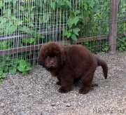 Превью фото № 184967