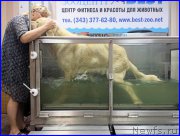 Превью фото № 184978