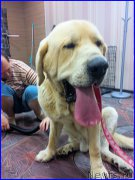 Превью фото № 184980