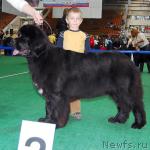 Превью фото № 18507