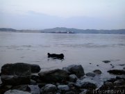 Превью фото № 185082