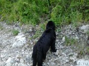 Превью фото № 185084