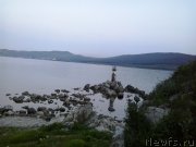 Превью фото № 185085