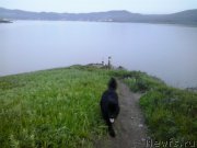 Превью фото № 185087