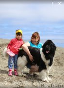 Превью фото № 185098