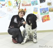 Превью фото № 185109