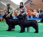 Превью фото № 18514