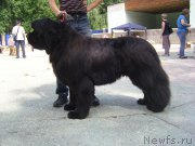 Превью фото № 185214