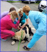 Превью фото № 185218