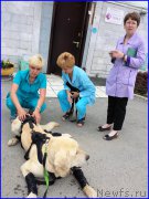 Превью фото № 185220