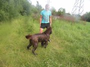 Превью фото № 185308