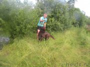 Превью фото № 185309