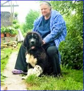 Превью фото № 185320