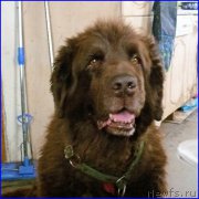 Превью фото № 185355