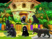 Превью фото № 185393