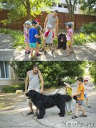 Превью фото № 185480