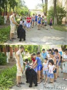 Превью фото № 185482