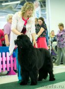 Превью фото № 185483