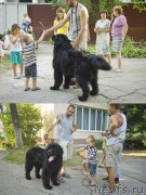 Превью фото № 185494