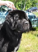 Превью фото № 185515