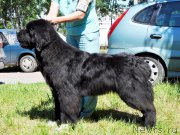 Превью фото № 185534