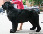 Превью фото № 185555